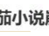 冲上热搜，番茄小说崩了！官方：目前在跟进和修复当中