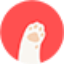 D站